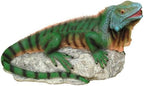 Design Toscano Ike, the Iguana Spitter Piped Statue by DesignToscano