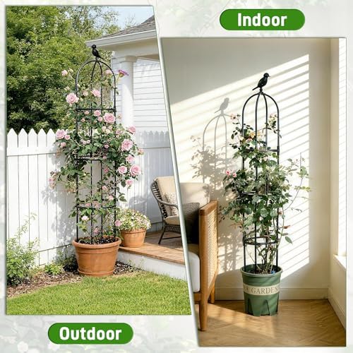 2 Pack Trellis for Climbing Planting Outdoor, 6ft Plant Trellis-Rustproof Metal Pipe with Heavy Duty Plastic Coated, Potted Plant Support for Clematis Vine Jasmine Support - Image 6