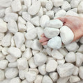 FANTIAN 10 lbs White Gravel for Aquarium, 2-3 Inch Large Pebbles for Planters, Decorative River Rocks for Plants Indoor, Landscaping, Vases, Fish Tank, Crafting and Garden by FANTIAN-GardeningMakesLifeBetter