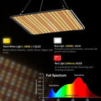 200W LED Grow Light - Full Spectrum, Plant Growing Lamp for Indoor Plants, Greenhouse, Grow Tent, Hydroponics - Image 2