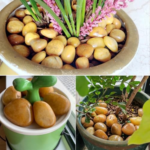YISZM 20lbs Yellow River Rocks for Landscaping, 1-2 Inch Natural Pebbles for Indoor Plants, High Polished Decorative Stones Vase Filler Fish Tank Aquariums Garden - Image 6