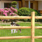 Black PVC Coated Welded Wire Fence 48" x 100' Roll, 2"x3" Mesh, 16 Gauge - Image 4