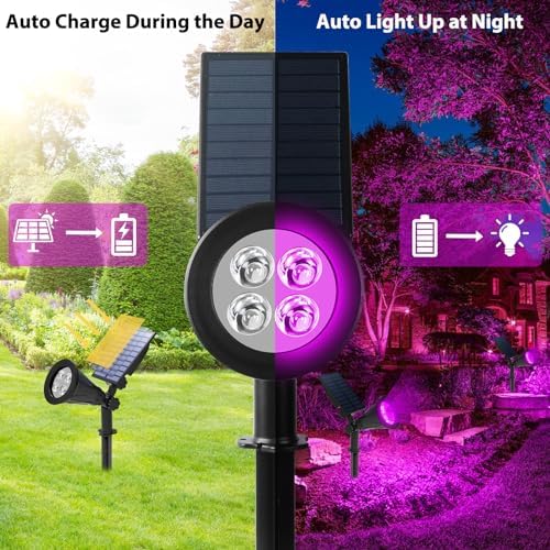 T-SUN Purple Solar Spot Lights Outdoor, Solar Black Lights Outdoor,4 Pack - Image 3