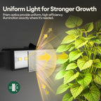 Maygrove Grow Lights for Indoor Plants, Sunlike Full Spectrum 5000K 1FT LED Growing Lamp 56W (8 x 7W), T5 Grow Light Strip for Seed Starting, Vegetables, Linkable, Black, 8-Pack - Image 4