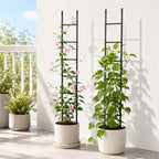 2PCS Indoor Plant Trellis, Sturdy Ladder Trellis for House Plant - Image 4