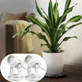 SUNVIE 2 Pack 3W LED Spot Lights Indoor 3000K Plug-in White Uplights Indoor by SUNVIE