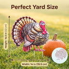 DoukeLiu Metal Thanksgiving Turkey Garden Stake, Tom Turkey Yard Sign Stake, Fall Harvest Outdoor Lawn Patio Thanksgiving Decoration(16.5 * 14 * 0.6in) - Image 3
