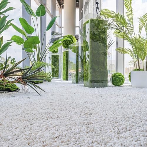 15lbs White Rocks, 3/8 Inch Small White Pebbles for Plants, Vase, Garden, Decorative Pea Gravel for Landscaping, Polished - Image 7