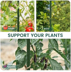 PROWORX 36 Inch 3 Ft Plant Support Garden Stakes for Outdoor Plants, 25 PCS - Image 2