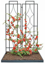 IDZO 2-Piece Diamonds Design Decoration Trellis, Metal Decorative Trellis for Climbing Plants Outdoor, Garden Trellis for Climbing Plants, Climbing Rose Trellis, 48-Inch Tall Each, Black by Idzo