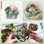 WinnerWhy 116 Pcs Fairy House Accessories Kit Miniature Garden Accessories Terrarium Decoration Mini Diorama Figurines Miniature Landscape Trees Simulated Succulents for DIY Garden Doll House Craft - Image 6