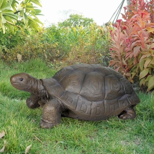 SKYFIRE Large Turtle Statues for Garden - 29.5' x 15.7' x 11.8' Fiber Reinforced Concrete Figurines, Garden Sculptures & Statues for Outdoors, Lawn, Yard, Indoor - Tortoise Outdoor Decor - Image 3