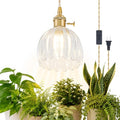 Hanging Grow Lights for Indoor Plants, 12W Full Spectrum 98+ CRI Grow Lamp, Dual CCT 3000K/4000K, Dual Switches, Pulley Height Adjustable, 13.12FT Cord, Petal Glass Plant Light for Indoor Flowers by GMTB