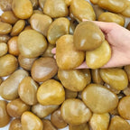 FANTIAN 10 lbs Yellow River Rocks, 2-3 Inch Polished Pebbles for Indoor Plants, Decorative Rocks Stones for Landscaping, Vases, Aquariums, Fountains, Pathways, Backyard and Garden by FANTIAN-GardeningMakesLifeBetter