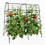 5.3x5.3FT Garden Arch Trellis for Raised Beds, Plant Support for Cucumbers, Melons, Vegetables, Peas, Tomatoes,﻿ & Climbing Vegetables, Outdoor Rust-Resistant Trellis - Image 6