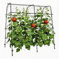 5.3x5.3FT Garden Arch Trellis for Raised Beds, Plant Support for Cucumbers, Melons, Vegetables, Peas, Tomatoes,﻿ & Climbing Vegetables, Outdoor Rust-Resistant Trellis by EcoSummer