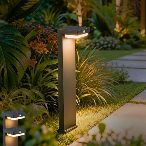 Premium Solar Pathway Lights Outdoor, Motion Sensor, 2 Modes, 2pk by VerLuce
