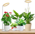 Aokrean Grow Light, Full Spectrum 6.3in Halo Plant Light for Indoor Growing by Aokrean