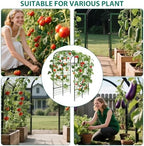 Garden Arch Trellis for Raised Beds, 7.3 ft Plant Support for Cucumbers, Melons, Vegetables, Peas, Tomatoes & Climbing Vegetables, Outdoor Rust-Resistant Trellis for Vertical Growing - Image 3