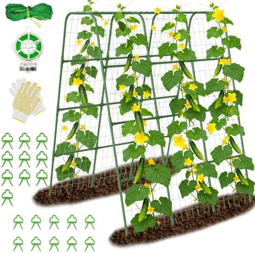 63" Tall Garden Trellis for Climbing Plants, 16mm Heavy Duty Metal Frame Cucumber Trellis with Netting, 20 Plant Clips, Easy Assembly Vegetable Trellis for Tomatoes, Beans, Peas, Raised Bed by BAG+WIZARD