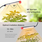 FRGROW Grow Light with Stand for Tall and Large Indoor Plants - Image 3