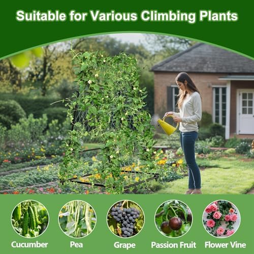 unho Garden Trellis for Climbing Plants with Tough Nylon Netting, 6ft Tall Sturdy Rustproof Metal Plant Support Tower for Vegetable Fruit Vine Cucumber Garden Lightweight，Outdoor - Image 5