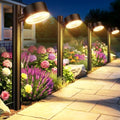 ELECLINK 8 Pack Solar Pathway Lights Outdoor, Adjustable Solar Powered Garden Lights with Bigger LED Lens, Auto On/Off Outdoor Waterproof Solar Lights for Yard Patio Lawn Sidewalk Walkway Driveway by ELECLINK