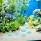 300pcs Blue Glow in Dark Pebbles for Aquarium and Garden Xmas - Image 6