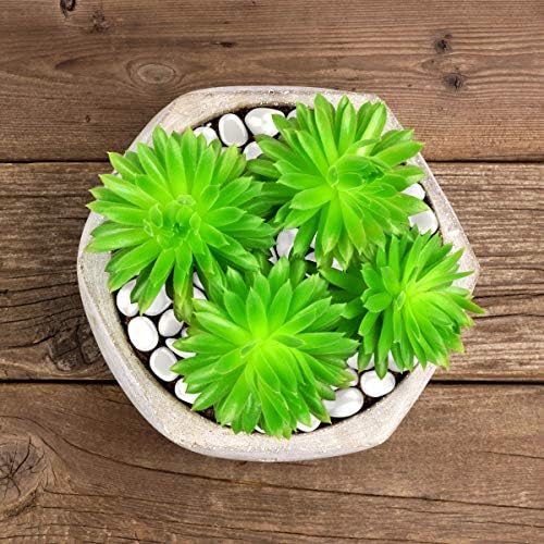 Pure Garden Glow-in-The-Dark Solar Pebble Lights, 500 Ct Blue Decorative Rocks for Flower Beds, Walkways, and Patios - Image 6
