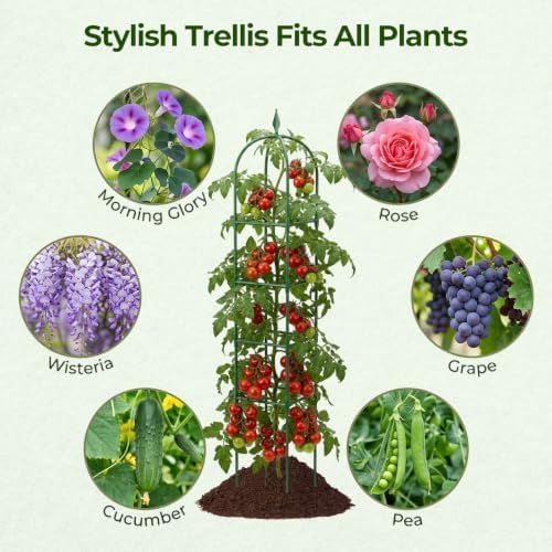 MYMULIKE 2 Pack Garden Obelisk Trellis for Climbing Plants Outdoor & Indoor - 6Ft Rustproof Garden Trellis Plant Support Cage for Vines, Flowers, Vegetables, Roses | Heavy-Duty, Adjustable - Image 4