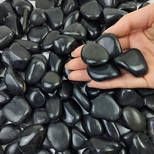 FANTIAN 20 lbs Black Stones for Landscaping, 0.8-1.2 Inch Rocks for Plants by FANTIAN-GardeningMakesLifeBetter