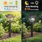 Sparkblaze 16 Pack Solar Pathway Lights Outdoor, Cold White - Image 7