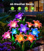 LETMY Solar Flower Lights, 4 Pack Solar Garden Lights with 24 Lily Flowers - Image 4