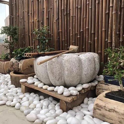 FANTIAN 10 lbs Large River Rocks for Landscaping, 2-3 Inch Polished White Pebbles for Plants, Decorative White Stones for Planters Vase Aquarium and Outdoor Garden Rocks - Image 4