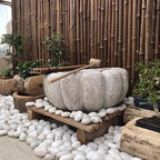 FANTIAN 10 lbs Large River Rocks for Landscaping, 2-3 Inch Polished White Pebbles for Plants, Decorative White Stones for Planters Vase Aquarium and Outdoor Garden Rocks - Image 4