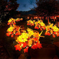 6Pack Fall Solar Lights Outdoor Decorative, Waterproof 120Led Orange Fall Lights with 240 Maple Leaves Path Lights, Solar Lights for Fall Autumn Patio Garden Halloween Thanksgiving Decorations by NeoclassyDirect