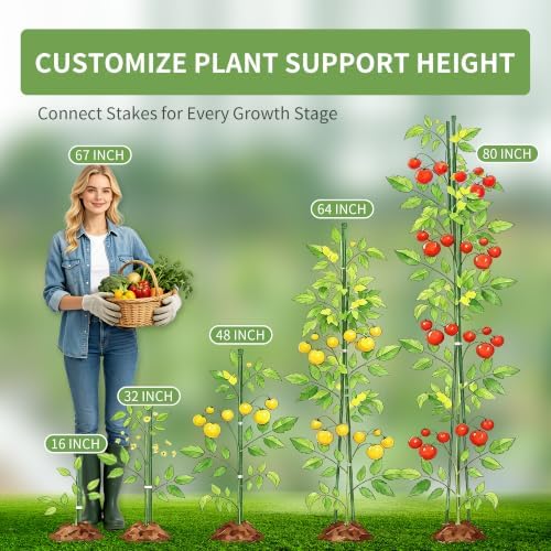 PROWORX Garden Plant Stakes, 16 Inch 70 Pack DIY 4ft 5ft 6ft Tomato Stakes - Image 3
