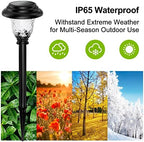 Glass Solar Lights Outdoor waterproof, 4 Pack Super Bright Solar Pathway Lights, Up to 12 Hrs Long Last Auto On/Off Garden Lights Solar Powered, Stainless Steel LED Light For Yard Landscape Cool White - Image 6