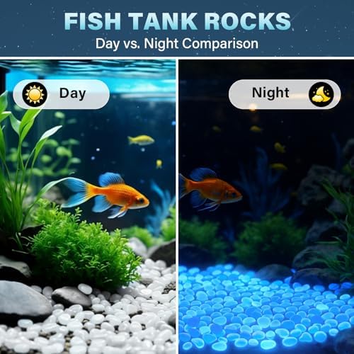 PoYang 2000pcs Glow in The Dark Rocks Outdoor Decor, White, 2.4 lbs/Bag - Image 6