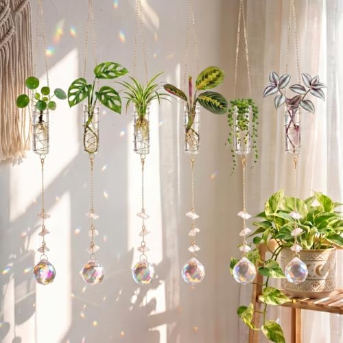 6 Pcs Plant Propagation Station Colorful Crystal Suncatcher, Handmade Boho Rooting Vase, Hanging Window Plant Propagator Stations Suncatcher with Chain Pendant Ornament Balls (Flower) by Ferrochef