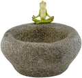 Top Collection Garden Frog Meditating On Large Functional Stone Flower Pot Planter Figurine by Top+Collection