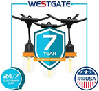 Westgate Lighting 24Ft Indoor/Outdoor Linkable LED String Lights, Commercial Grade with 12 Sockets & LED Bulbs – Bistro, Pergola, Deck, Patio, Market, Cafe, Gazebo, Party Decor - Image 7