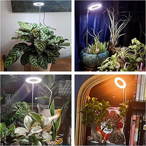 Aokrean Grow Lights for Indoor Plants,Full Spectrum Halo Plant Light 5 Pack - Image 2