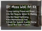 Preserved Reindeer Moss Natural Green DIY Kit Gardenning Art Wall Decor Florist Decor Easter Table Decor Wedding - Image 2