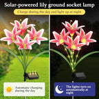 4 Pack Lily Solar Path Lights, IP65 Waterproof Adjustable Landscape Lights - Image 3