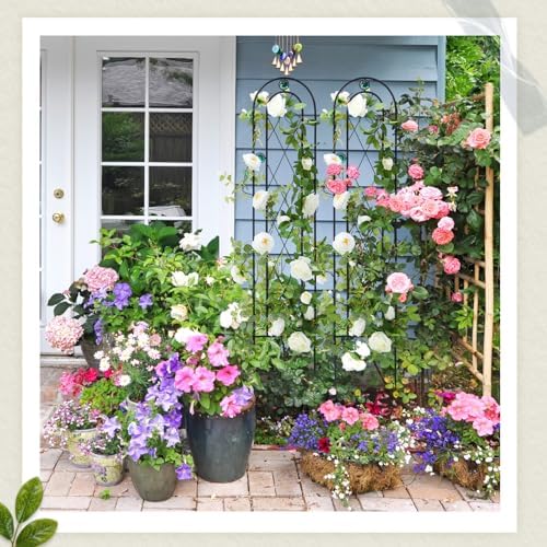 2 Pack 4' H x 10" W Metal Arched Garden Trellis for Potted Climbing Plants Outdoor Rustic Black Coating Iron Wire Lattices Grid Panels for Vine Pergola Cucumbers Vegetables Flower Support - Image 6