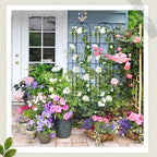 2 Pack 4' H x 10" W Metal Arched Garden Trellis for Potted Climbing Plants Outdoor Rustic Black Coating Iron Wire Lattices Grid Panels for Vine Pergola Cucumbers Vegetables Flower Support - Image 6