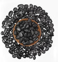 40 lbs Black River Rocks - Large Polished Black Pebbles for Plants & Garden Decorative Stones，0.5-1" Polished Pebbles for Landscaping, Fish Tanks, Flower Pots, Water Fountains by LOOIOOJ