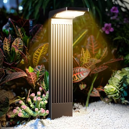 COXSENI Solar Pathway Lights Outdoor Warm/Cool White, 6Pack by COXSENI