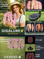 GIGALUMI 3 Pack Solar Wisteria Flowers Outdoor, 2 Modes, Pink - Image 2